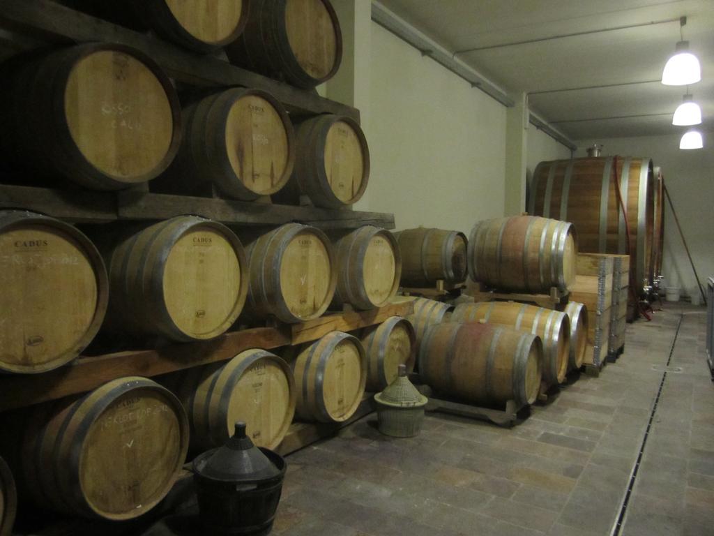 הוילה Pradamano Agriturismo Frascje Dai Spadons מראה חיצוני תמונה
